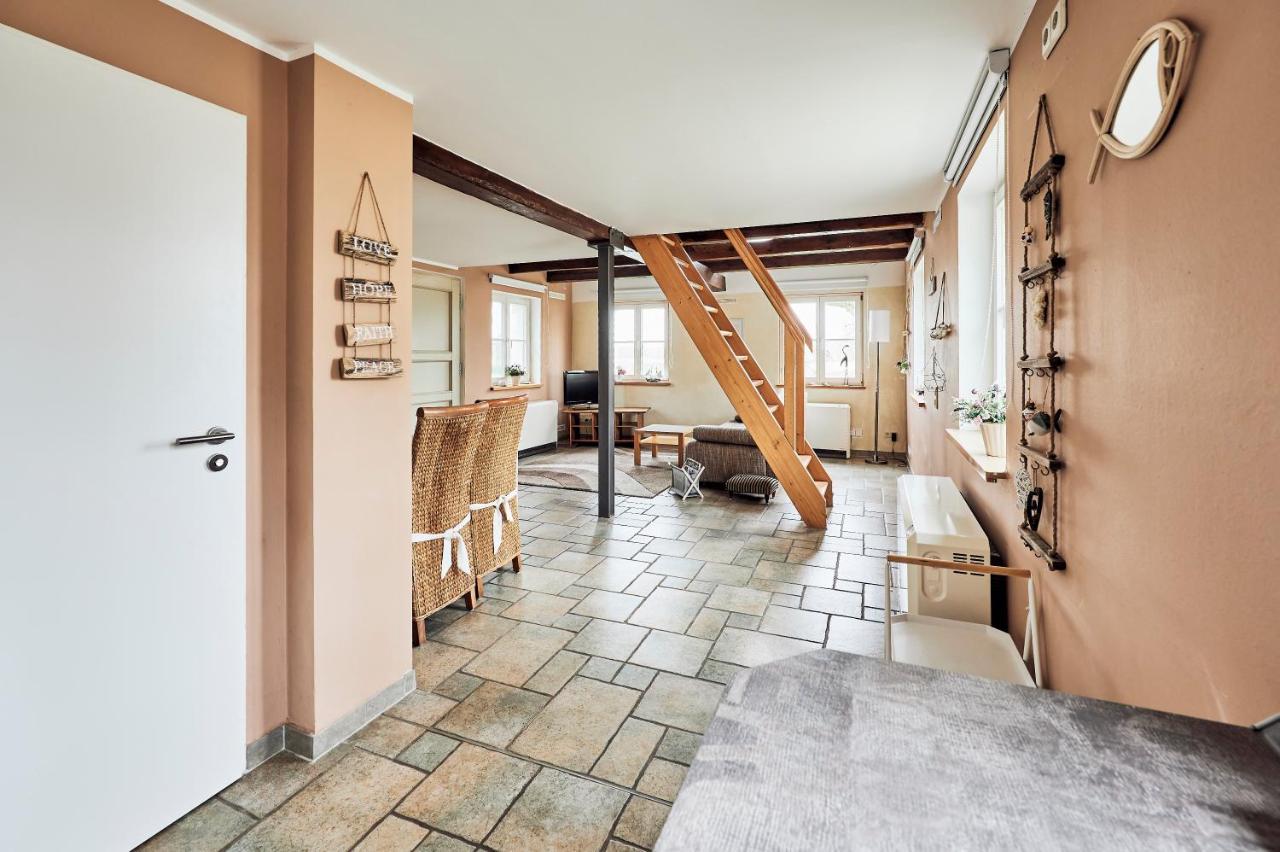 Hotel Elbterrasse Woerlitz Oranienbaum-Woerlitz Zewnętrze zdjęcie